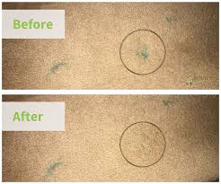 Asmi carpet care products Carpet Spot Remover